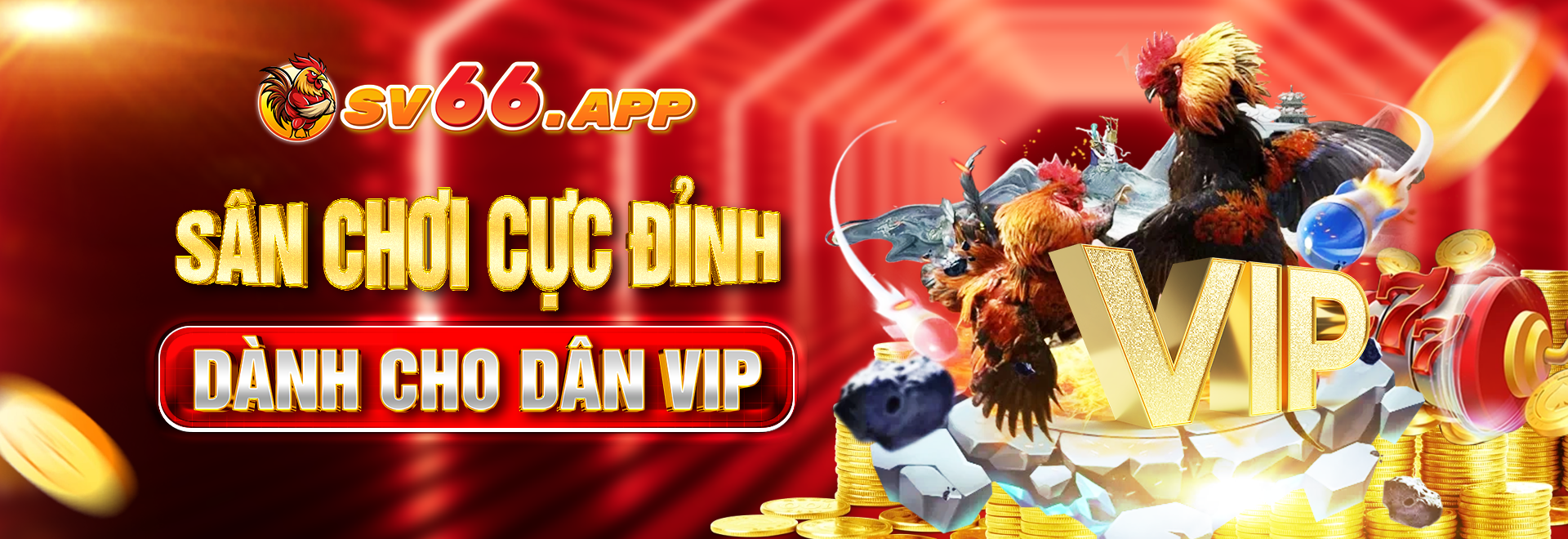 banner-sv66