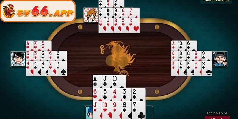 Cấu trúc bộ bài cơ bản