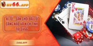 Xì Tố – Sân Chơi Bài Tố Căng Não Và Kịch Tính Tại SV66